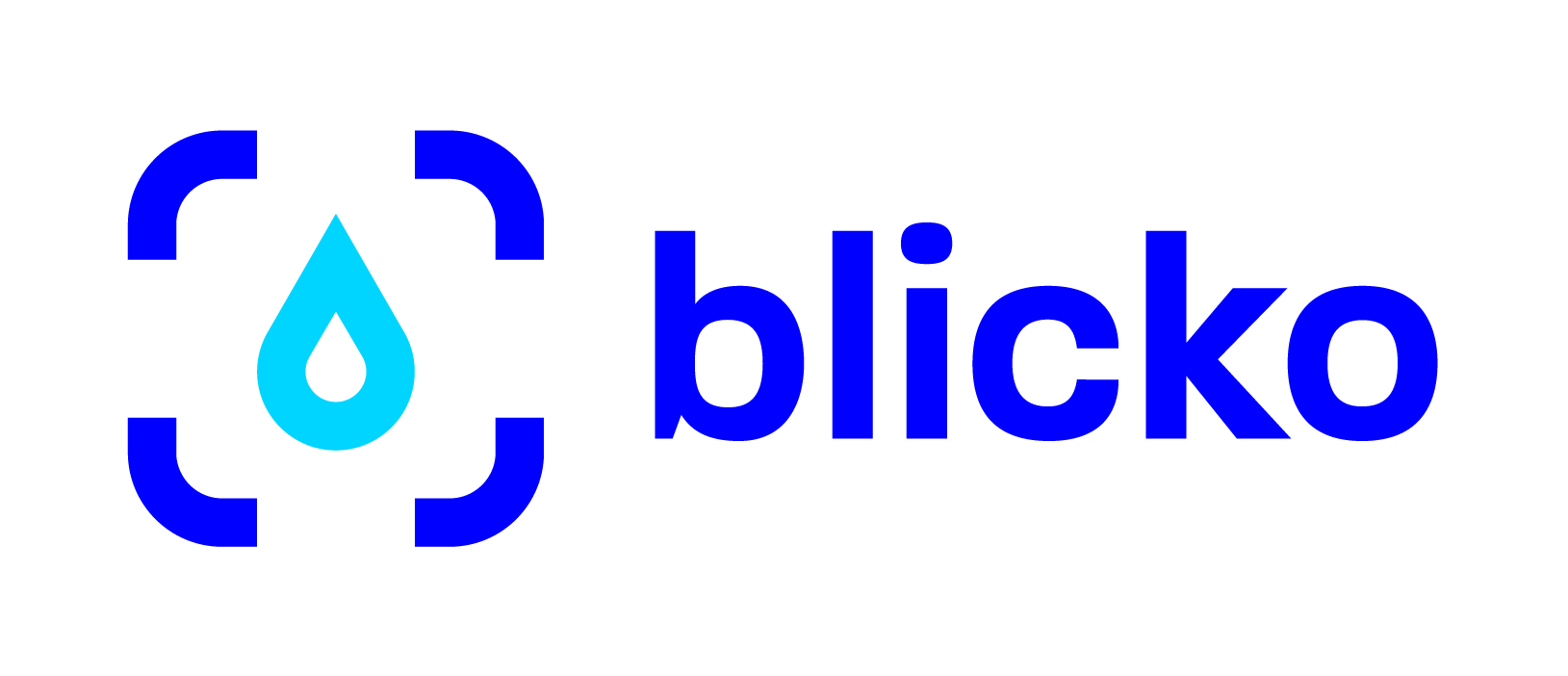 logo blicko